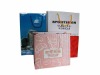 glossy, matte paper bag for shopping, promotion and food