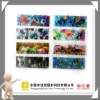 high performance 3d lenticular card