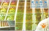 high quality holographic anti-counterfeiting label