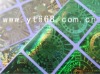 hologram anti-counterfeiting hologram sticker