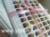 hologram anti-counterfeiting sticker