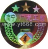 hologram sticker with sequential numbers