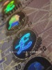 hologram stickers india