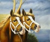 horse canvas printing service