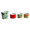 ice cream paper cup