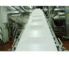 industrial production line inclining stainless steel belt conveyor system