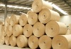 kraft paper machine