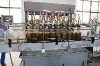 linear type salad oil filling machine/sweet oil filler