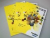 matt art paper A4 brochure catalog printing