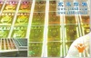 multi-channel and reflection holographic anti-counterfeiting label