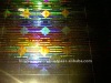 multi channel hologram labels