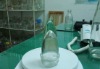 new design condiment, seasoning glass bottle