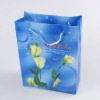 paper bag with laser lamination cotton handle