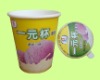 paper icecream cup