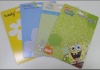 paper insert/ blister card/ paper card