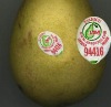 pear fruit sticker