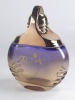 perfume bottle 100ml, cosmetic bottle ZB516