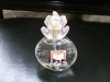 perfume glass bottle with shiny plastic  cap and sprayer 100ml