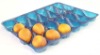 plastic clamshell fruit container