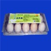 plastic egg tray