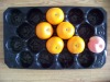 plastic fruit tray