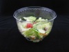 plastic salad bowl