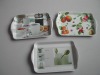 plastic tray(dinnerware,tableware)