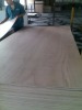 plywood