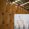 poly coated paper,single and double PE