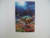 pop sea world advertising 3d posters with morph effect