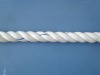 pp danline rope