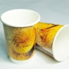 printed double paper cup