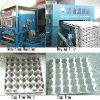 pulp molding machine