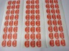 pvc adhesive sticker