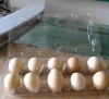 pvc egg tray