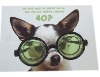 pvc glasses advertising poster