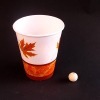 single PE paper cup