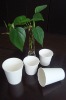 single wall paper cups