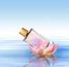 transparence perfume glass bottle