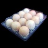 transparent clamshell packaging for eggs