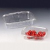 transparent fruit box