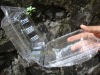 transparent pet clamshell tray