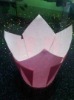 tulip paper cake cup