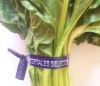 vegetables' twist ties/cintillas para vegetales