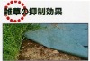 weed control mat