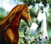 whosale lifelike high definition 3d postcards of horse