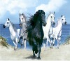 whosale lifelike high definition animals 3d postcards