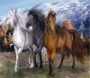 whosale lifelike high definition horse 3d pictures