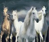 whosale lifelike high definition horse 3d pictures