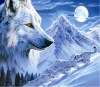 whosale lifelike high definition wolves 3d pictures